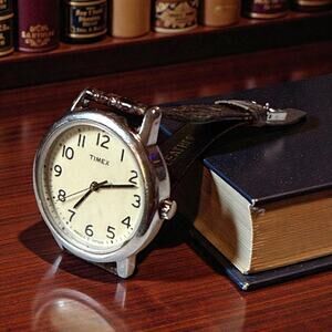 Timex Indiglo Easy Reader Watch Womens Stainless Quartz Croc Embossed Strap RUNS